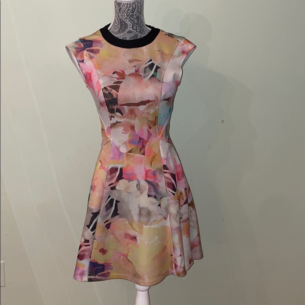 Ted baker colorful dress